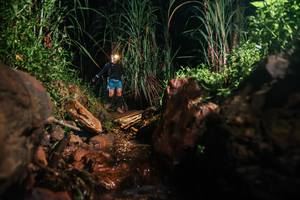 BIB: 
                            <button type="button" onclick="openModal(26414295)" class="btn btn-primary btn-sm float-right btn-popup" data-toggle="modal" data-target=".modal-high-quality">
                        <i class="fas fa-shopping-cart"></i> Add to Cart
                    </button>
                                            <button type="button" onclick="isThisMe(26414295, true)" class="btn btn-success btn-sm float-right btn-popup btn-isme hidden" data-toggle="tooltip" data-placement="bottom" title="นี่คือรูปของคุณใช่ไหม คลิกที่นี่เพื่อเอาเข้าอัลบั้ม">
                        <i class="fas fa-plus"></i> Add to album
                    </button>
                    <button type="button" onclick="isThisMe(26414295, false)" class="btn btn-warning btn-sm float-right btn-popup btn-isnotme hidden">
                        <i class="fas fa-ban"></i> Remove from album
                    </button>